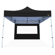 Canopy Walls with Windows