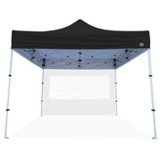 Canopy Walls with Windows